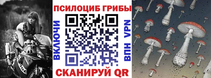 Галлюциногенные грибы Magic Shrooms  Купить где  Шумерля 